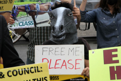 New York,  Representatives from NYCLASS, PETA and other community advocates engage in a protest outside the 38th Street stable to demand immediate action from the city to save the life of an injured, emaciated horse that was being forced to pull carriages while exhibiting open wounds. Transit Workers Union 100 hold up signs to counter protest the event.
Curtis Sliwa who is running for N.Y.C. Mayor next year holds sign and speaks at the podium.