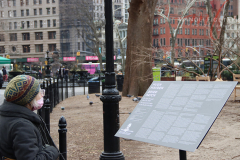 An elder women stoping by and reading about “Brier Patch” that’s located at Madison Square Park on 27 Jan 2022.