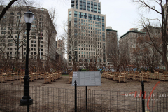 “Brier Patch” features a total of one-hundred wooden elementary school-style desks that erupt with tree branches, cohering into tangled assemblies with complex and layered meanings. The accumulations of desks summon the grid arrangement of classroom seating. Referencing folklore traditions around the world, the work calls on the notion of the brier patch as a place protective for some and dangerous for others, drawing connections to similar disparities within the education system and the ideal of the American Dream. On view from January 18 through April 24, 2022, Brier Patch is complemented by a suite of public programs centered on storytelling and education. Located in Madison Square Park, New York City on 27 Jan 2022.