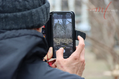 A man capturing the “Brier Patch” that is located in Madison Square Park, New York City on 27 Jan 2022.