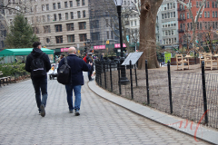 Locals walking through Madison Square Park and stoping by “Brier Patch”. Located at Madison Square Park, New York City on 27 Jan 2022.