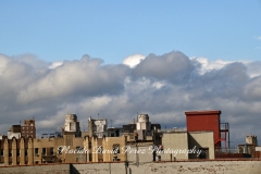 Hurricane ISAIAS in the Bronx August 4, 2020