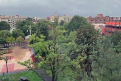 Hurricane ISAIAS in the Bronx August 4, 2020