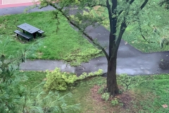 Hurricane ISAIAS in the Bronx August 4, 2020