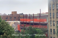 Hurricane ISAIAS in the Bronx August 4, 2020