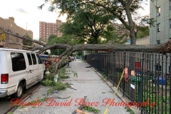 8.4.20_4058_IMG_6274