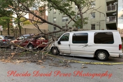 8.4.20_4060_IMG_6276