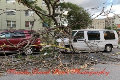 8.4.20_4062_IMG_6278