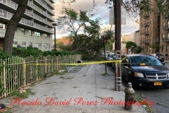 8.4.20_4066_IMG_6282