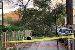 8.4.20_4067_IMG_6283