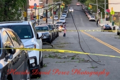 8.4.20_4069_IMG_6285