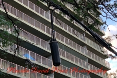 8.4.20_4070_IMG_6286