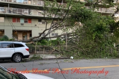 8.4.20_4071_IMG_6287