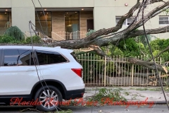 8.4.20_4072_IMG_6288