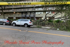 8.4.20_4075_IMG_6291