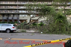 8.4.20_4077_IMG_6293