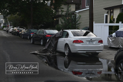 Hurricane Ida
September 02, 2021
Staten Island, NY
Photographs by Mary DiBiase Blaich 

The morning after Hurricane Ida dropped 14 inches of rain on Staten Island, residents woke up to find cars and property damaged and cars pushed and relocated in the heavy rain overnight.  These are views at 7 AM on the North Shore of the Island.