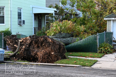 Hurricane Ida
September 02, 2021
Staten Island, NY
Photographs by Mary DiBiase Blaich 

The morning after Hurricane Ida dropped 14 inches of rain on Staten Island, residents woke up to find cars and property damaged and cars pushed and relocated in the heavy rain overnight.  These are views at 7 AM on the North Shore of the Island.