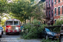 FDNY firefighters of Engine 239/Ladder 122 arrive to clear fallen trees on 7th Street in the Park Slope neighborhood of Brooklyn after tropical storm Isaias hit  New York City on August 4, 2020. (Photo by Gabriele Holtermann/Sipa USA)