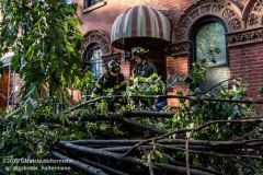 FDNY firefighters of Engine 239/Ladder 122 clear a fallen tree outside a home on 7th Street in the Park Slope neighborhood of Brooklyn after tropical storm Isaias hit  New York City on August 4, 2020. (Photo by Gabriele Holtermann/Sipa USA)