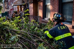 FDNY firefighters of Engine 239/Ladder 122 clear a fallen tree outside a home on 7th Street in the Park Slope neighborhood of Brooklyn after tropical storm Isaias hit  New York City on August 4, 2020. (Photo by Gabriele Holtermann/Sipa USA)