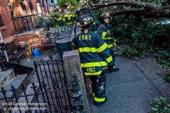 FDNY firefighters of Engine 239/Ladder 122 clear a fallen tree outside a home on 7th Street in the Park Slope neighborhood of Brooklyn after tropical storm Isaias hit  New York City on August 4, 2020. (Photo by Gabriele Holtermann/Sipa USA)