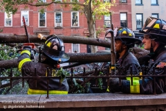 FDNY firefighters of Engine 239/Ladder 122 clear a fallen tree outside a home on 7th Street in the Park Slope neighborhood of Brooklyn after tropical storm Isaias hit  New York City on August 4, 2020. (Photo by Gabriele Holtermann/Sipa USA)