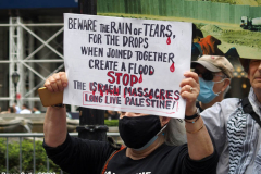 May 22, 2022  NEW YORK  After a three-year hiatus, the Celebrate Israel Parade returned,  Politicians with supporters of the State of Israel marched up  Fifth Avenue for the annual event.
  Anti Israel Protestors