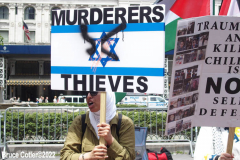 May 22, 2022  NEW YORK  After a three-year hiatus, the Celebrate Israel Parade returned,  Politicians with supporters of the State of Israel marched up  Fifth Avenue for the annual event.
  Anti Israel Protestors