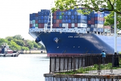 Thursday, May 20, 2021
CMA CGM Marco Polo 
Staten Island, NY
For credit:  Mary DiBiase Blaich

The “CMA CGM Marco Polo”, the largest ship to ever visit the East Coast of the US, sailed into New York harbor this morning, Thursday, May 20, 202..  It passed the Statue of Liberty and lower Manhattan, before turning around and sailing through the Kill Van Kill, and then  under the Bayonne Bridge in route to Port Newark.  School children who attend the Harbor School on Richmond Terrace had an opportunity to cross the street from their building and pose with the ship as it sailed behind them.