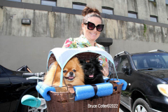 June 15,2022    NEW YORK  
The 40th Annual Mermaid Parade. returned after a two year absence due to Covid. Revelers Dance in the streets while groups of of musicians / bands play while marching along the parade route