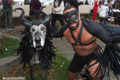 New York,    Annual Halloween dog parade returned after missing last years due to Covid.