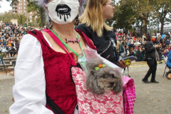 New York,    Annual Halloween dog parade returned after missing last years due to Covid.