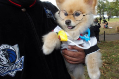 New York,    Annual Halloween dog parade returned after missing last years due to Covid.