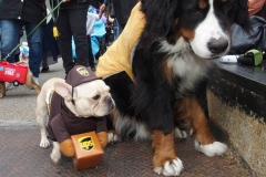 New York,    Annual Halloween dog parade returned after missing last years due to Covid.