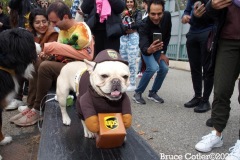 New York,    Annual Halloween dog parade returned after missing last years due to Covid.