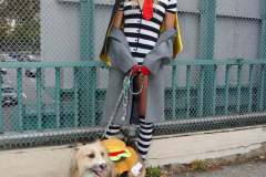 New York,    Annual Halloween dog parade returned after missing last years due to Covid.