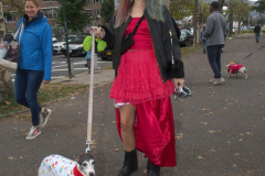 New York,    Annual Halloween dog parade returned after missing last years due to Covid.