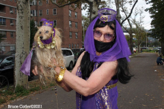 New York,    Annual Halloween dog parade returned after missing last years due to Covid.