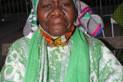 New York,  Nigeria Day Parade and Street fair.