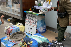 Noah The Animal Lover
He lives in NYC, retired and owns all those animals.  They are his pets.  He goes around throughout NYC and puts them on display for people to see and children to enjoy.  Petting is allowed.  All the animals are trained and 
non aggressive.  He collects voluntary donations to pay for food and associated vet cost.  His name is Noah.