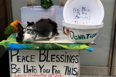 Noah The Animal Lover
He lives in NYC, retired and owns all those animals.  They are his pets.  He goes around throughout NYC and puts them on display for people to see and children to enjoy.  Petting is allowed.  All the animals are trained and 
non aggressive.  He collects voluntary donations to pay for food and associated vet cost.  His name is Noah.