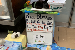Noah The Animal Lover
He lives in NYC, retired and owns all those animals.  They are his pets.  He goes around throughout NYC and puts them on display for people to see and children to enjoy.  Petting is allowed.  All the animals are trained and 
non aggressive.  He collects voluntary donations to pay for food and associated vet cost.  His name is Noah.