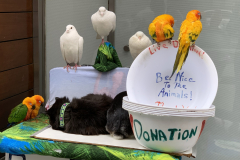 Noah The Animal Lover
He lives in NYC, retired and owns all those animals.  They are his pets.  He goes around throughout NYC and puts them on display for people to see and children to enjoy.  Petting is allowed.  All the animals are trained and 
non aggressive.  He collects voluntary donations to pay for food and associated vet cost.  His name is Noah.