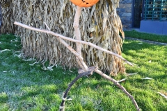 NYBG Halloween Pumpkin Show During Covid 19 Pandemic