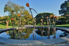 NYBG Halloween Pumpkin Show During Covid 19 Pandemic