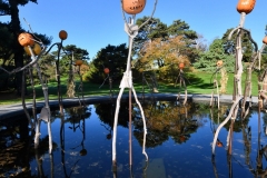 NYBG Halloween Pumpkin Show During Covid 19 Pandemic