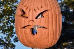 NYBG Halloween Pumpkin Show During Covid 19 Pandemic