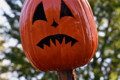 NYBG Halloween Pumpkin Show During Covid 19 Pandemic