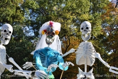 NYBG Halloween Pumpkin Show During Covid 19 Pandemic